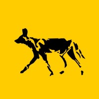Painted Dog Media logo - Similar company to Hiker
