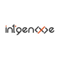 int'genxe logo - Similar company to 5Lab