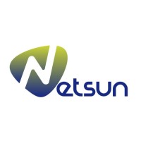NETSUN logo - Similar company to Netsun Software