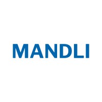 MANDLI USA logo - Similar company to Skyroid Studios