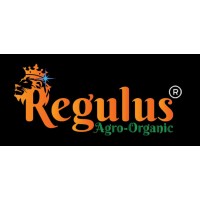 REGULUS HUB logo - Similar company to Immaculate Bites