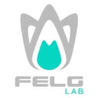 FELG Lab Sp. z o.o. logo - Similar company to Felg App For Dental & Medical Practices