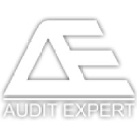 Audit Expert logo - Similar company to Audit Express