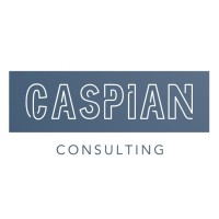 Caspian Consulting Inc logo - Similar company to Cycle Labs