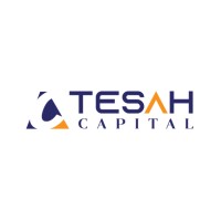 Tesah Capital Limited logo - Similar company to Bethniel Group