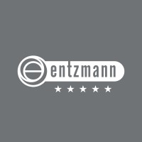 Frank Entzmann GmbH logo - Similar company to Alfatec Gmbh Fördersysteme