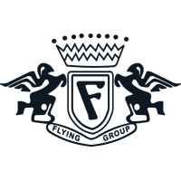 Flying Group of Industries logo - Similar company to Tech Vezoto