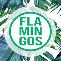 Green Flamingos logo - Similar company to Africaloud