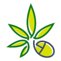 The Weed Blog logo - Similar company to Cannabis Hr Partner