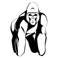 Silverback Consulting Services logo - Similar company to Silverback Investment Partners (Sips)
