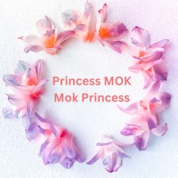 Princess Mok * Mok Princess logo - Similar company to Media Mate Dwc Llc