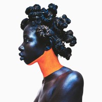 CAPTIVATING AFRICAN MAGAZINE logo - Similar company to Le African Magazine