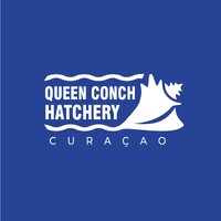 Queen Conch Hatchery logo - Similar company to Queen Conch Lab | Fau Harbor Branch Oceanographic Institute