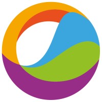 Retail Inkjet Solutions, Inc. (Ris)