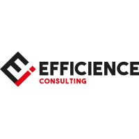 EFFICIENCE logo - Similar company to Efficience It