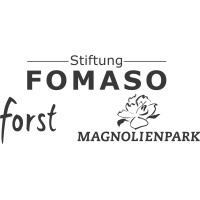 Stiftung FOMASO logo - Similar company to Dinasoft