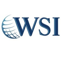 WSI - We Simplify the Internet logo - Similar company to Wsi - We Simplify The Internet