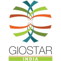 GIOSTAR INDIA logo - Similar company to Instape