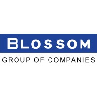 BLOSSOM GROUP OF COMPANIES logo - Similar company to Fifo Future Private Limited
