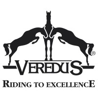 VEREDUS srl logo - Similar company to Las Helmets