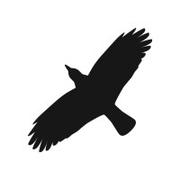 Raven Technologies, LLC logo - Similar company to Raven Cybersecurity