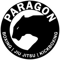 Paragon Academy logo - Similar company to Stiff Jab