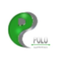 Polo Solutions Projects logo - Similar company to Designapy