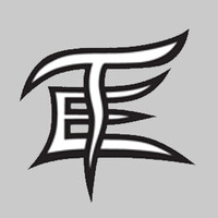Team Elite Baseball logo - Similar company to Dvs Baseball
