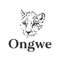 Ongwe Minerals (Pty) Ltd logo - Similar company to Rawclic