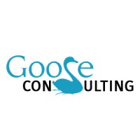 Goose Consulting logo - Similar company to Mi-Global S.L