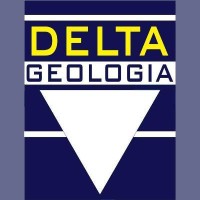 Delta Consultoria Geológica e Mineração Ltda. logo - Similar company to Bsarid Soluções Sustentáveis