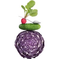 Dennis Gasper Coaching & Cooking logo - Similar company to C [Ak'Sent] Interieurarchitecten