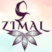 Zimal UET Lahore logo - Similar company to Mlsa Uet Lahore New Campus