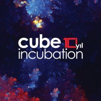 Cube Incubation logo - Similar company to Trangels