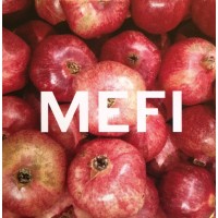 Middle East Film Initiative