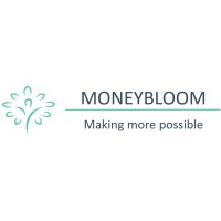 Moneybloom logo - Similar company to Easycloud