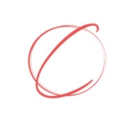 Charlene Wheeless—The Choice