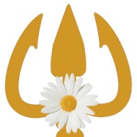 WearVedic logo - Similar company to Apperture Sàrl