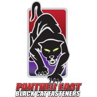 Panther East logo - Similar company to Cometal Nv