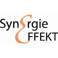 Synergie-Effekt GmbH logo - Similar company to Abilal.Io