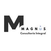 MAGNUS Consultoría Integral logo - Similar company to Digit-All