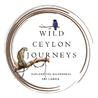 Wild Ceylon Journeys | Sri Lanka