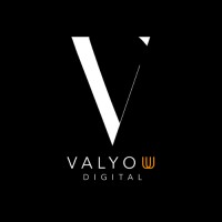 Valyouu Digital logo - Similar company to Bnf Digital