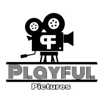 Playful Pictures logo - Similar company to Bluebell Software Solution Pvt. Ltd.