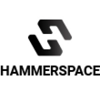 Hammerspace logo - Similar company to Bestow