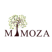 Mimoza Co. logo - Similar company to Lumtify