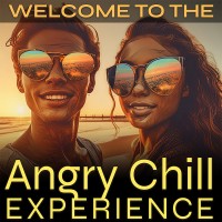 Angry Chill Experience Publishing & Insight Portal logo - Similar company to Seek Go Create - The Leadership Journey