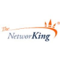 The NetworKing logo - Similar company to Avatron One Llc