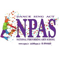 National Performing Arts School