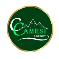 Camesi Agency logo - Similar company to Stringbit